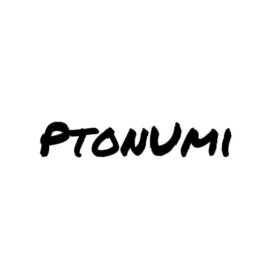 PTONUMI