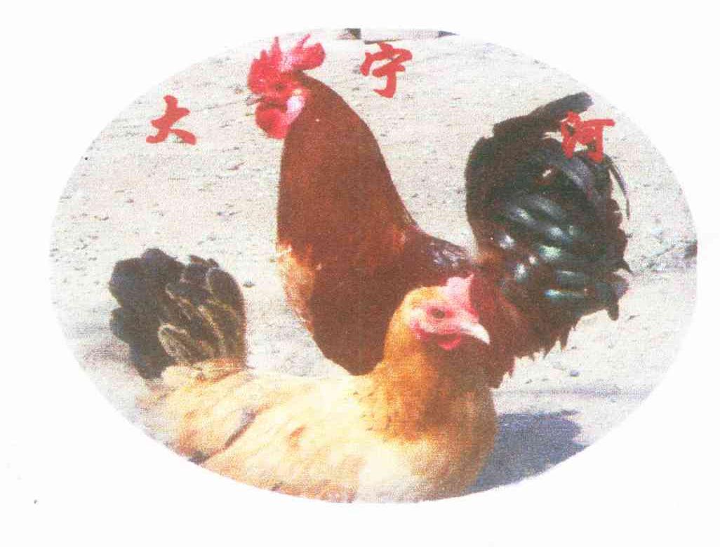 大宁河