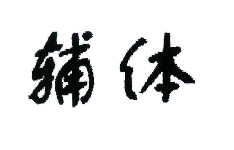 辅体