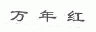 万年红