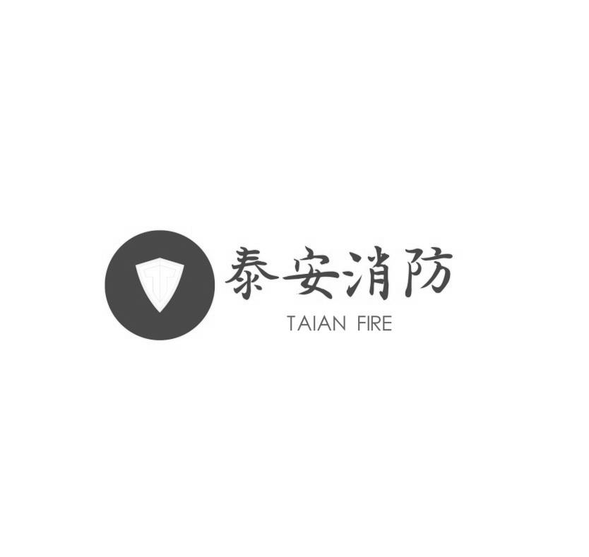 泰安消防  TAIAN FIRE