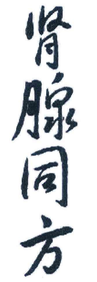 肾腺同方