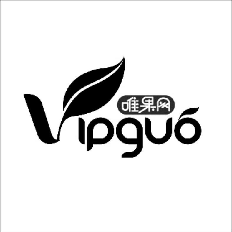 唯果网 VIPGUO