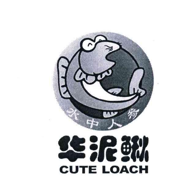 水中人参 华泥鳅 CUTE LOACH