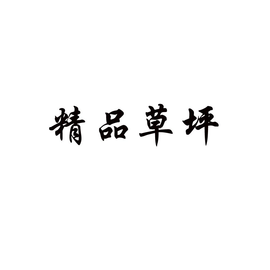 精品草坪