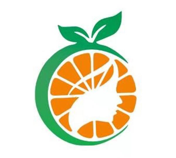图形