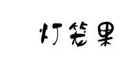 灯笼果