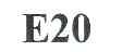 E20