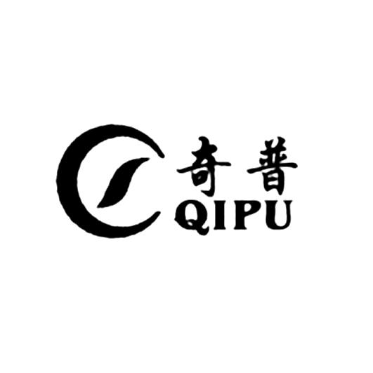 奇普