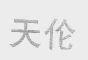 天伦