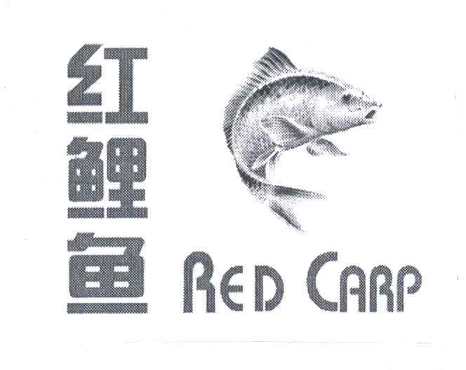 红鲤鱼;RED CARP