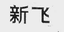 新飞