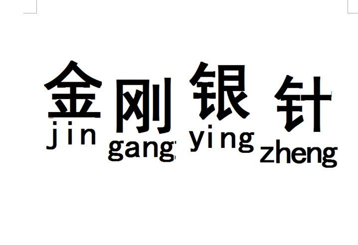 金刚银针 JIN GANG YING ZHENG