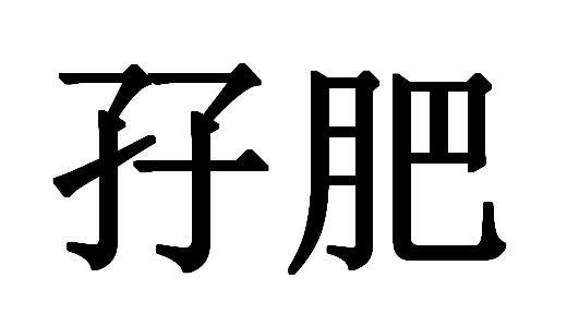 孖肥