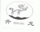 升龙