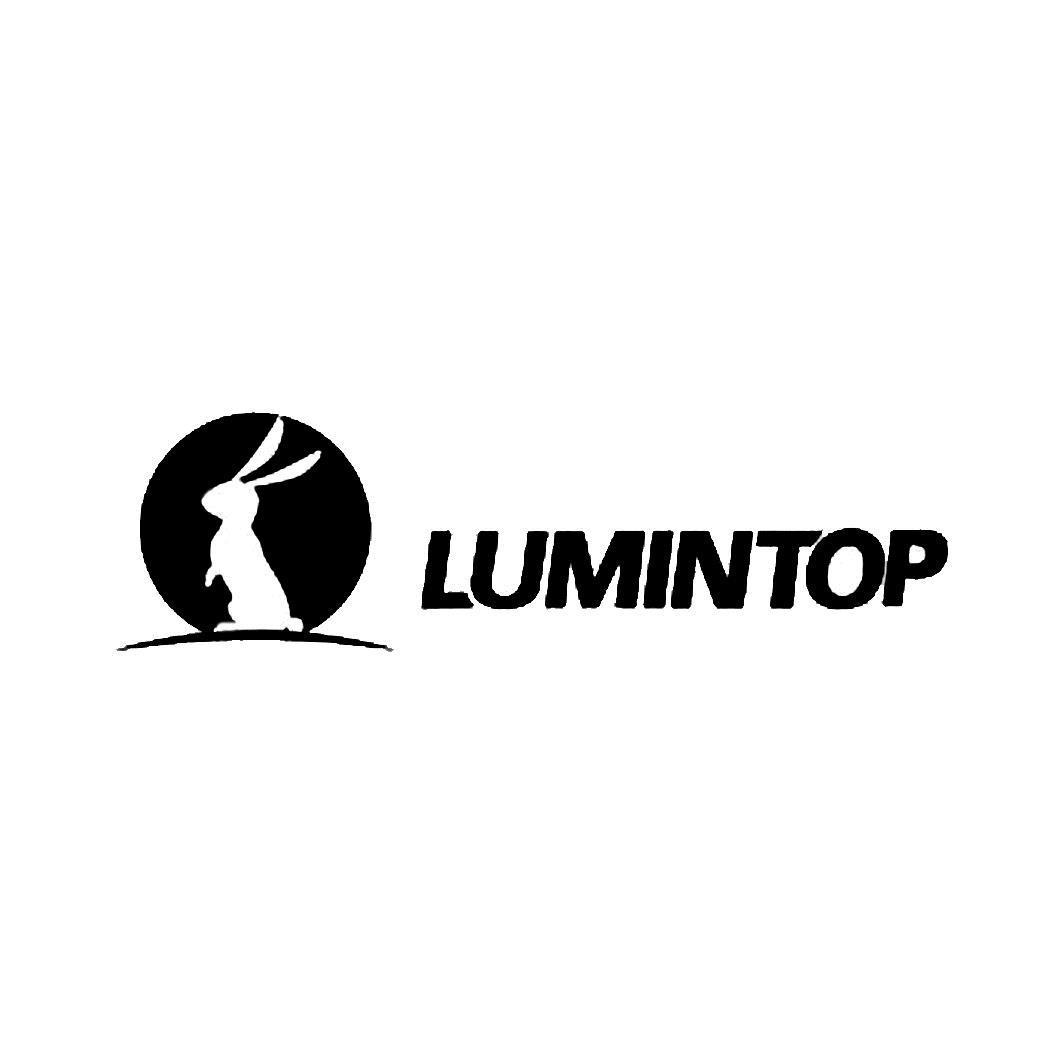 LUMINTOP