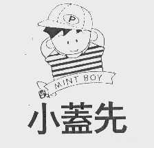 小盖先   MINT BOY