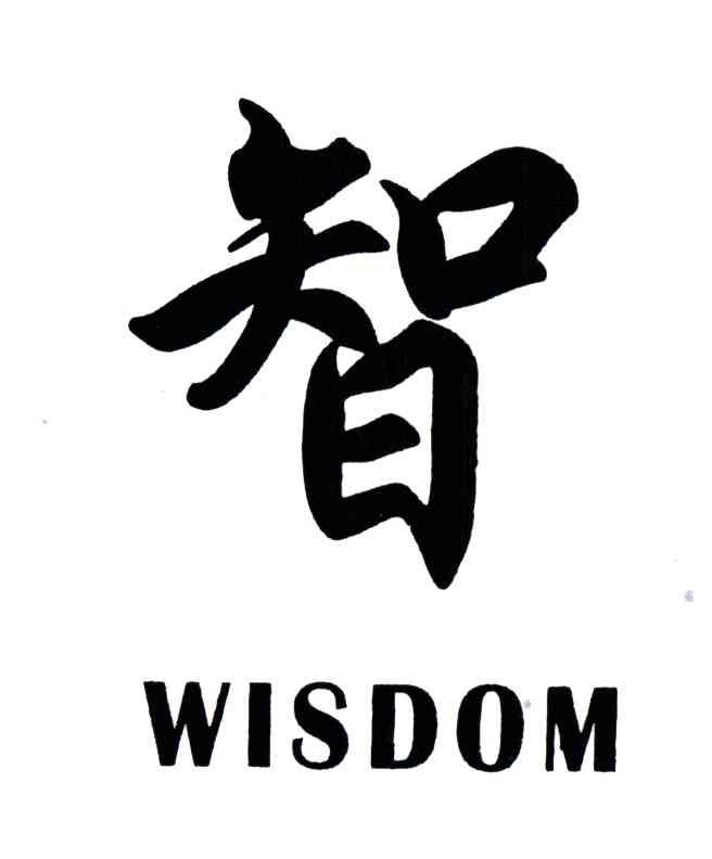 智;WISDOM