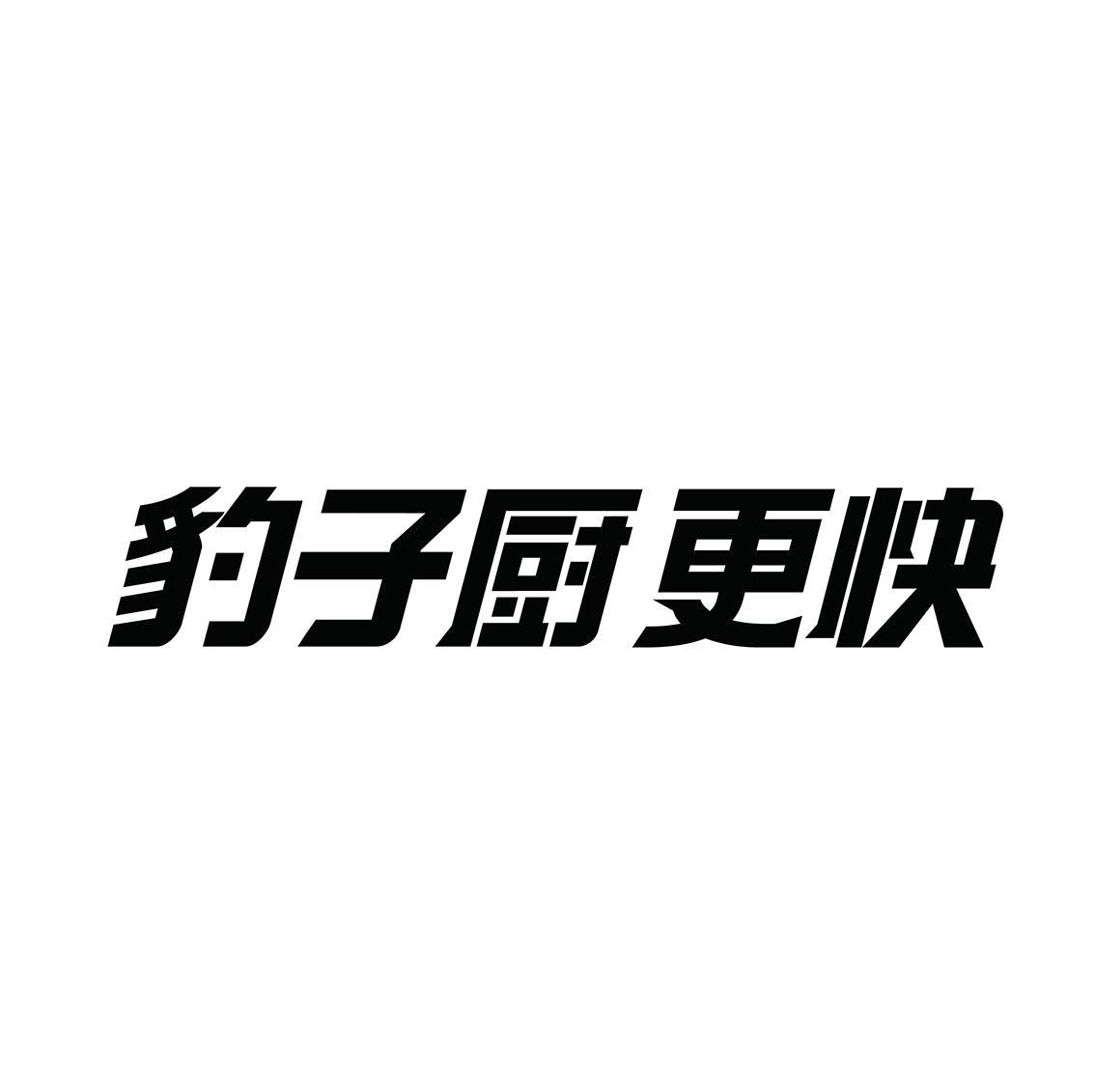 豹子厨更快