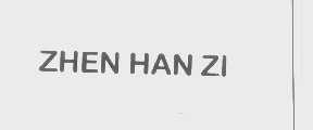 ZHEN HAN ZI