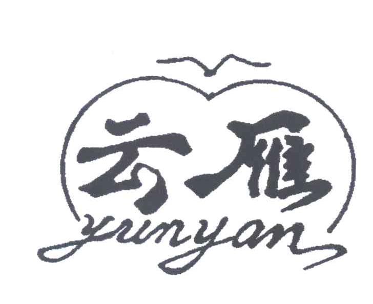 云雁