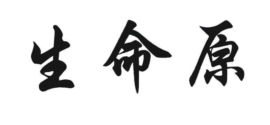 生命原