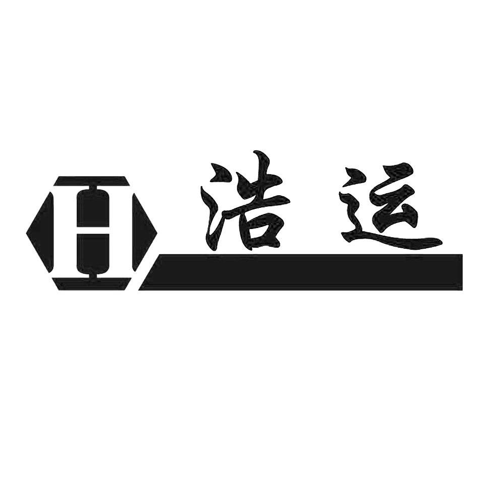 浩运 H