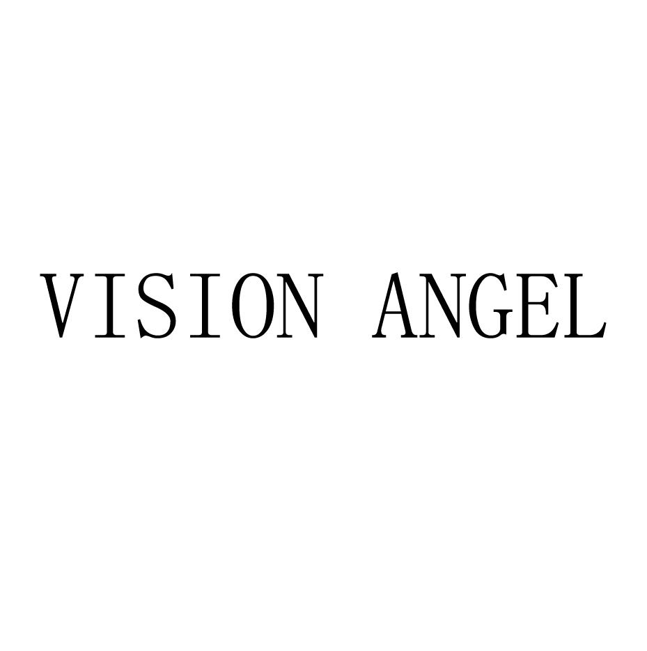 VISION ANGEL