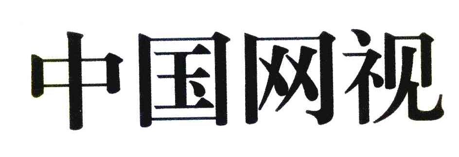 中国网视