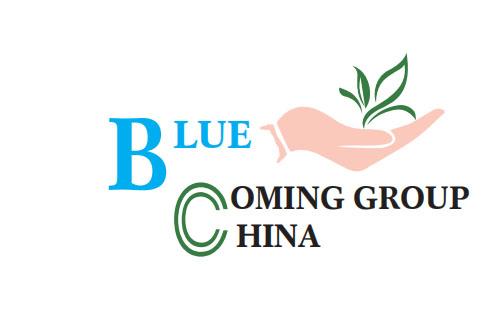BLUE COMING GROUP CHINA