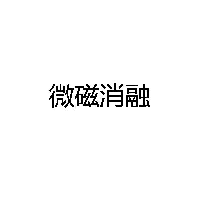 微磁消融