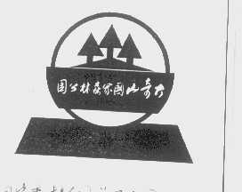 大奇山