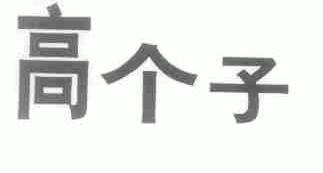 高个子