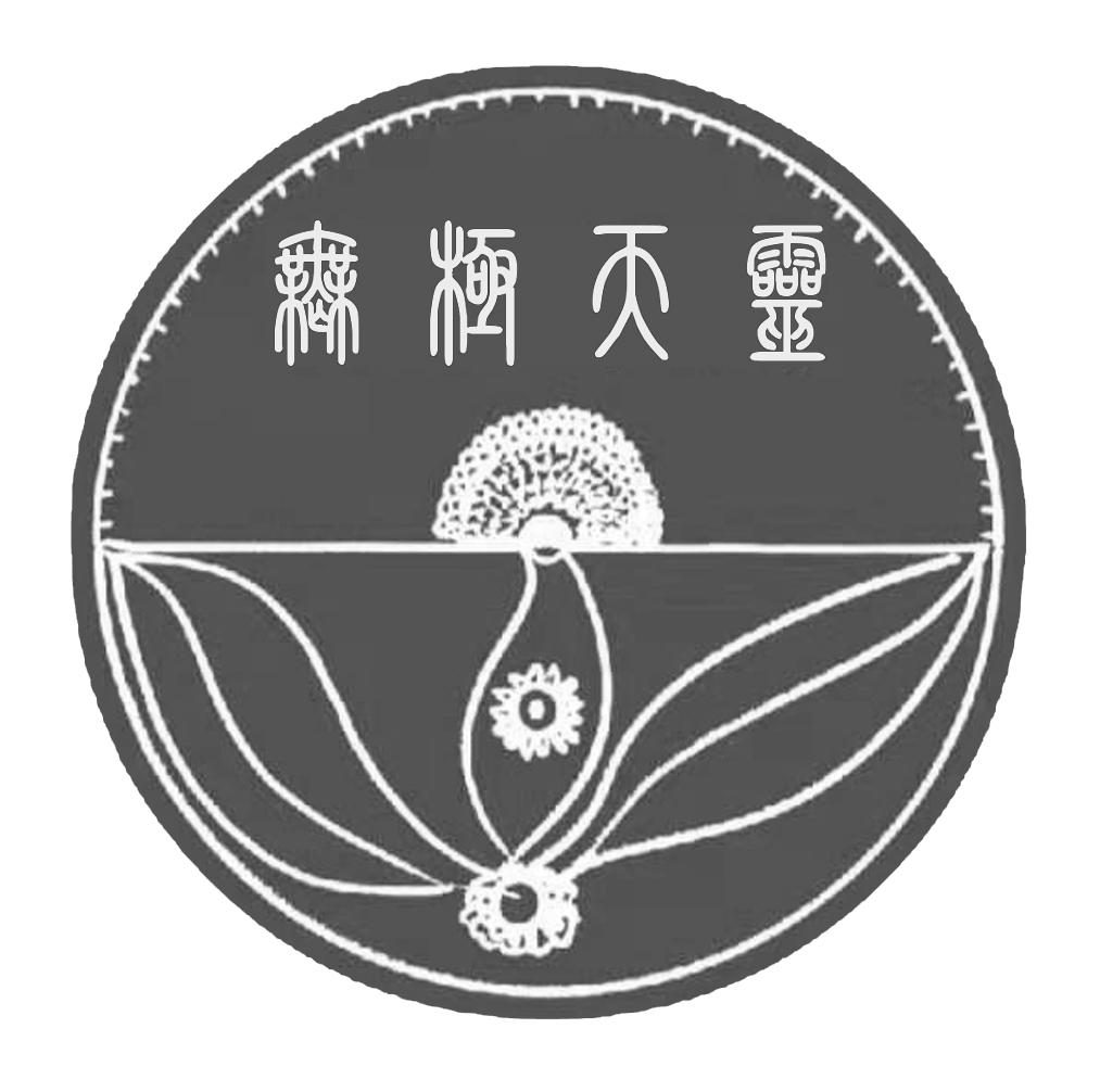 无极天灵