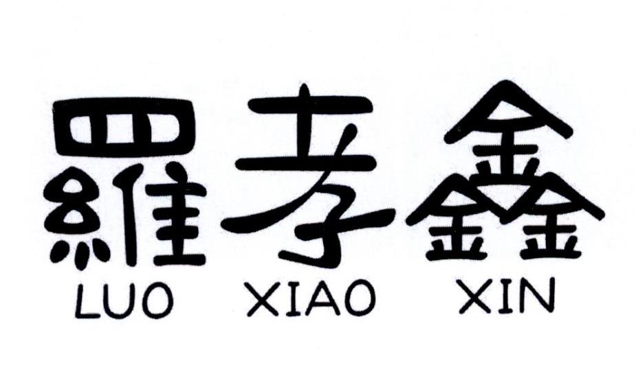 罗孝鑫