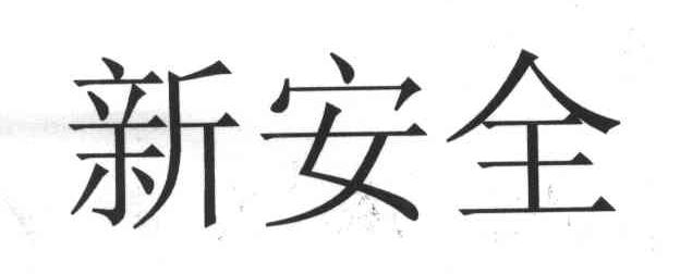 新安全