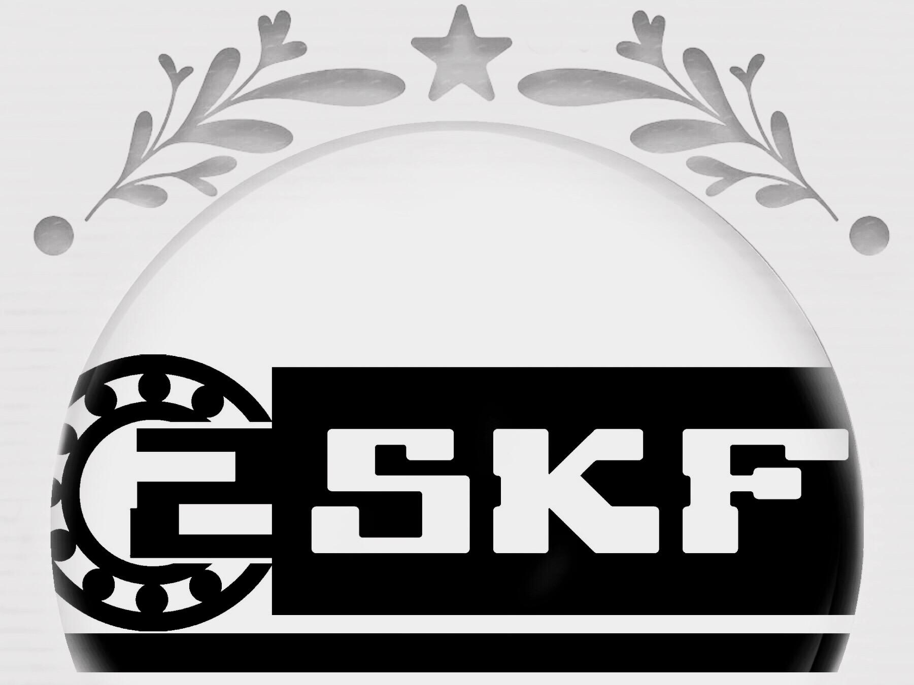 CZSKF
