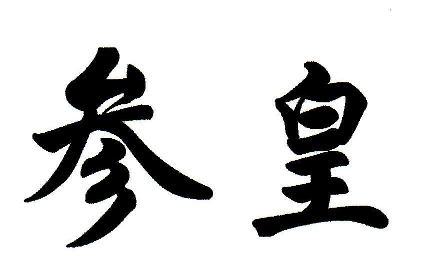 参皇