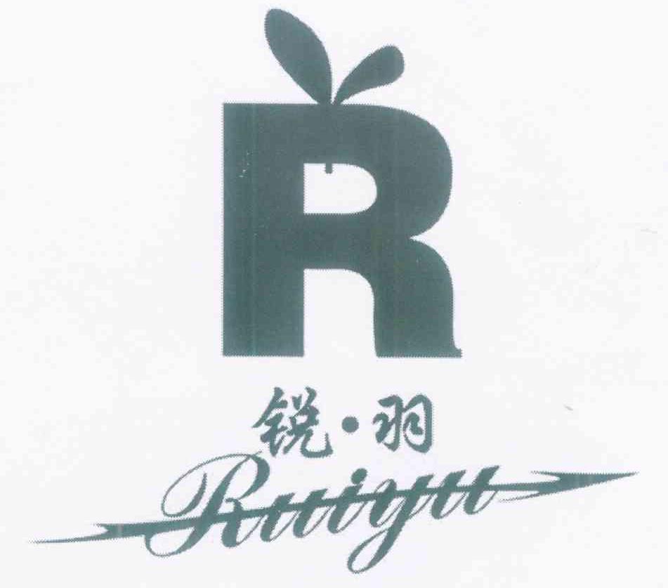 锐羽 R