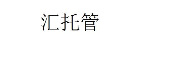汇托管