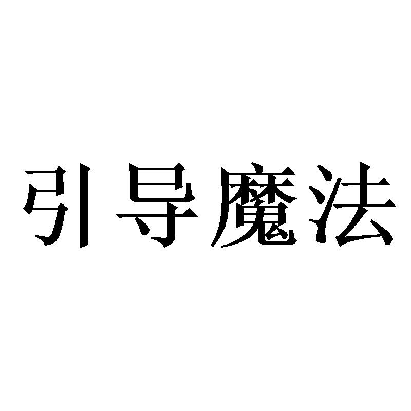引导魔法