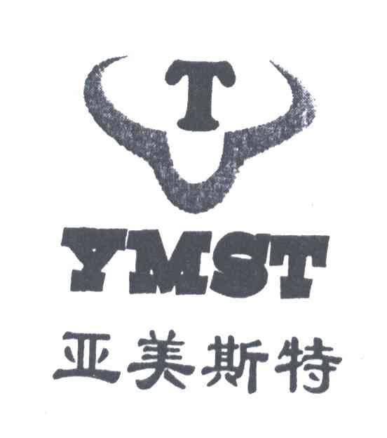亚美斯特;YMST