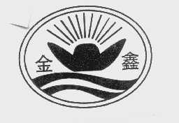 金鑫