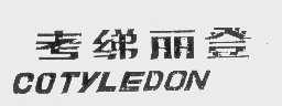 考绨丽登   COTYLEDON