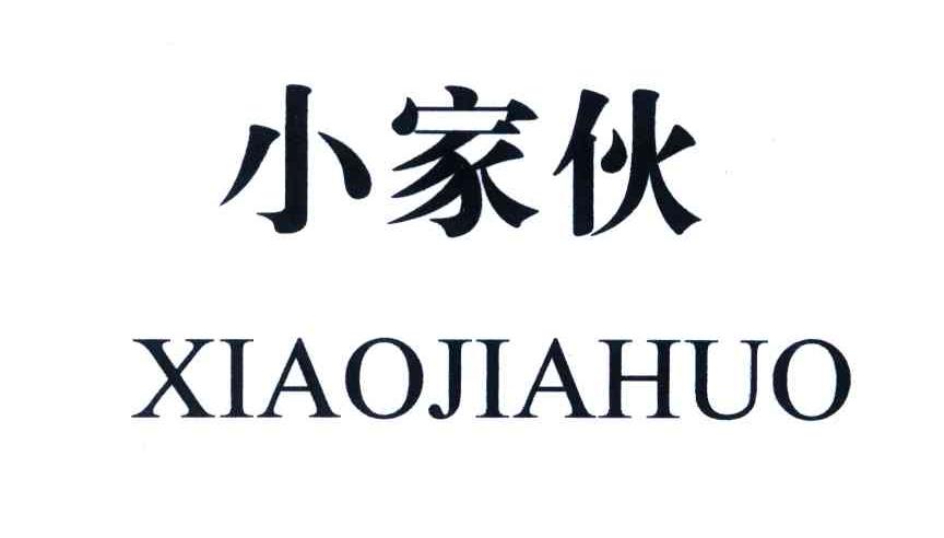 小家伙