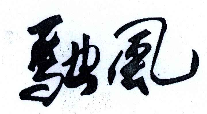 驰风