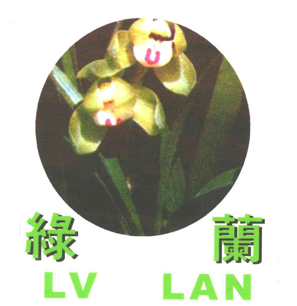 绿兰