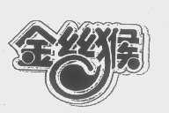 金丝猴