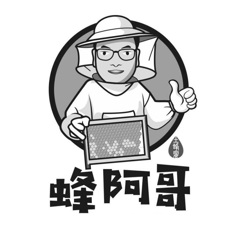 蜂阿哥 土蜂蜜
