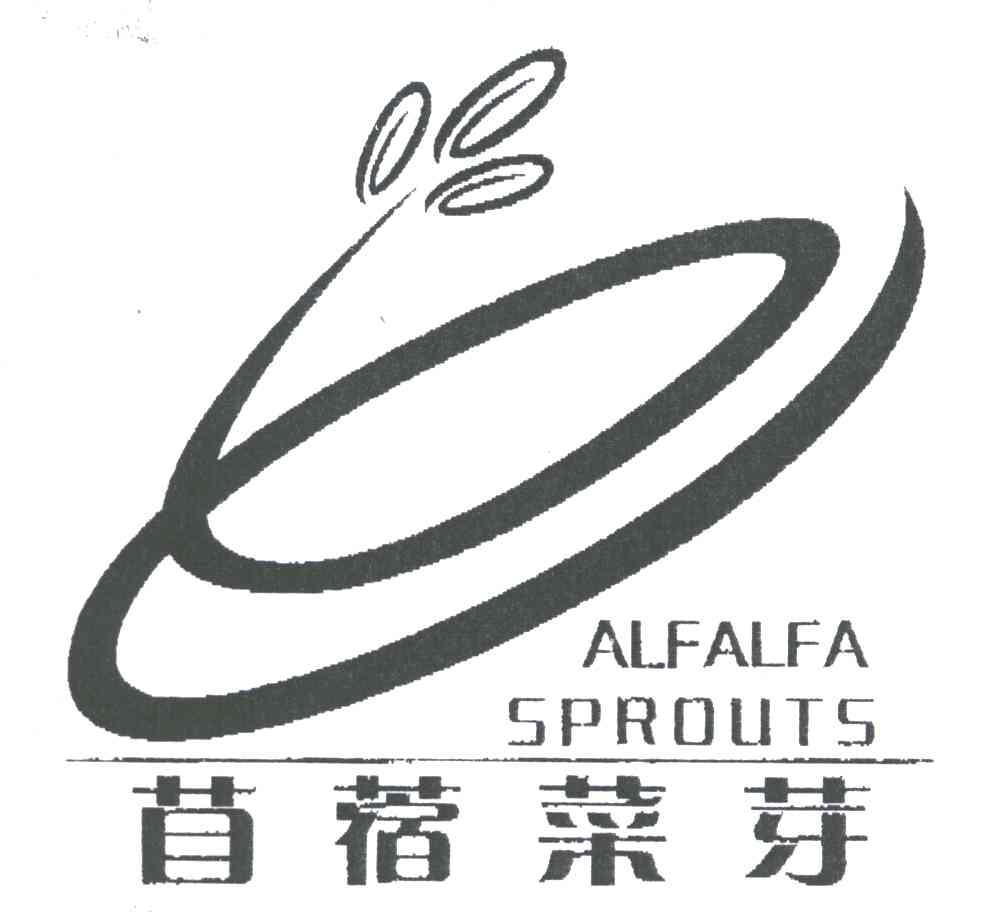 苜蓿菜芽;ALFALFA SPROUTS